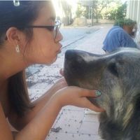 Profile picture